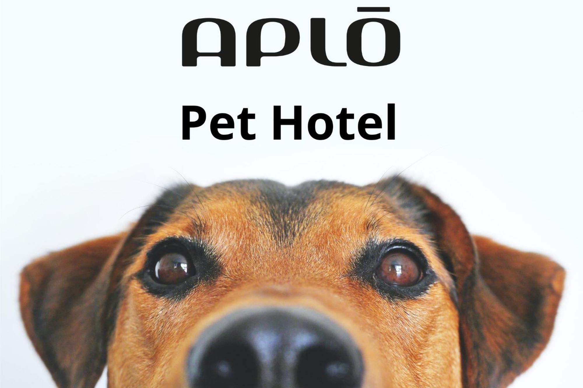 Hotel Aplo - Breakfast Experience Cervia Luaran gambar